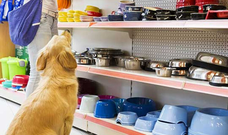 La importancia económica del mercado de bienes y servicios para mascotas