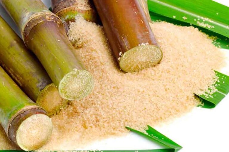 Perú se ubica como el vigésimo tercer productor de azúcar a nivel mundial