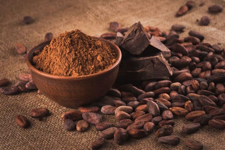 Productores de «La Pampa» comercializan 100 TM de cacao a empresa transnacional