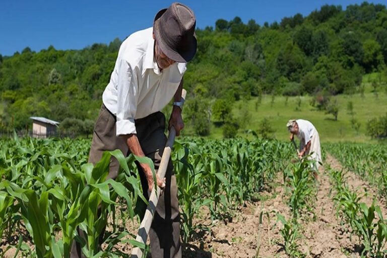Producción nacional disminuyó 4,18% en febrero 2021
