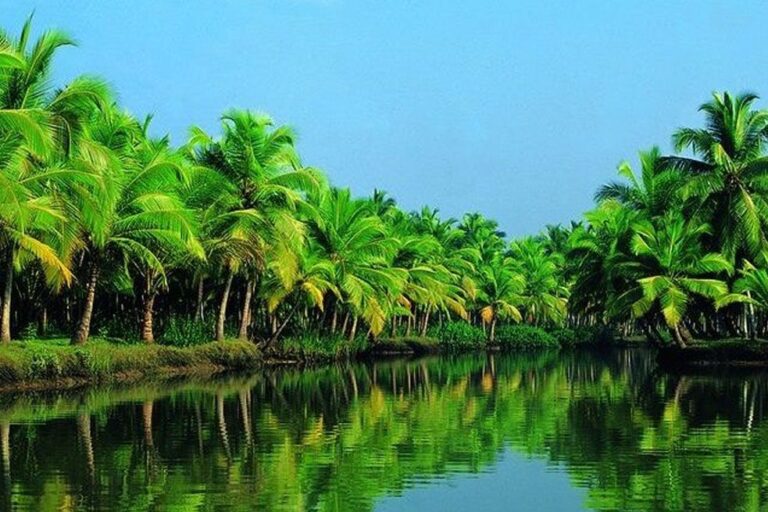La selva y la sierra salvarán al Perú