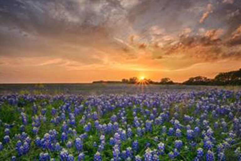 Conflicto minero como oportunidad de desarrollo