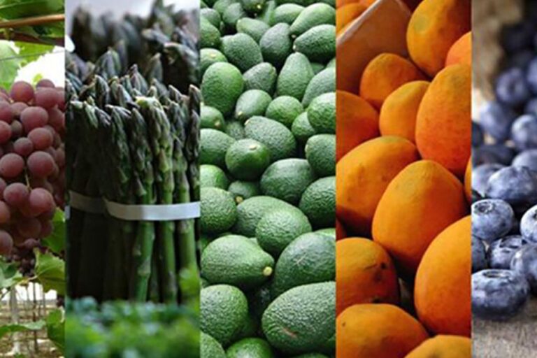 Exportaciones agrarias sumaron US$ 1.632 millones en el primer trimestre