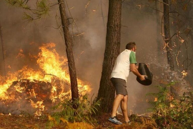Fondo para reforestar sí, no para deforestar