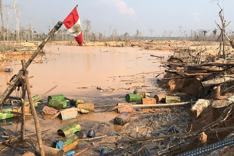 Incendios forestales y foresticidios