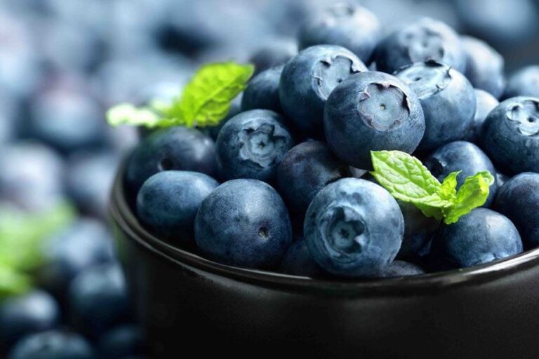 Arándanos busca consolidar su ingreso a mercados de Malasia, India e Israel