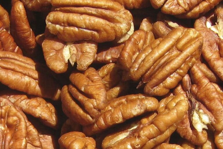 Pecana peruana llegaría a China en 2020