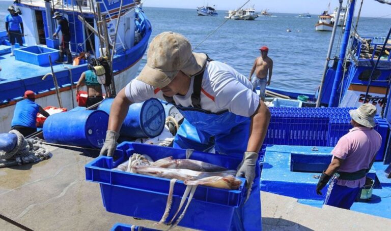 El plan de gobierno del gabinete Otarola para la pesca peruana
