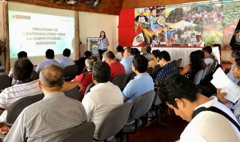 Procompite destinó S/ 36 millones en 202 planes de negocio en 2019