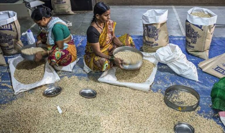 Precios mundiales de los alimentos se incrementaron, impulsado por cereales y aceites.