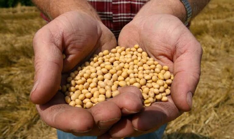Perú suspende importaciones de productos agropecuarios procedentes de Bolivia