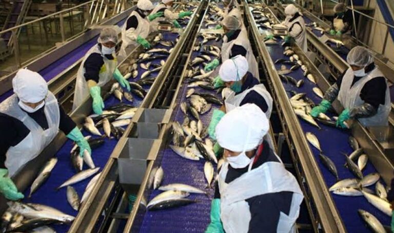Exportación pesquera para consumo humano directo se recuperó en 2021