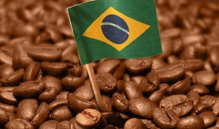Volumen exportado de café verde de Brasil cae 9,9% en enero