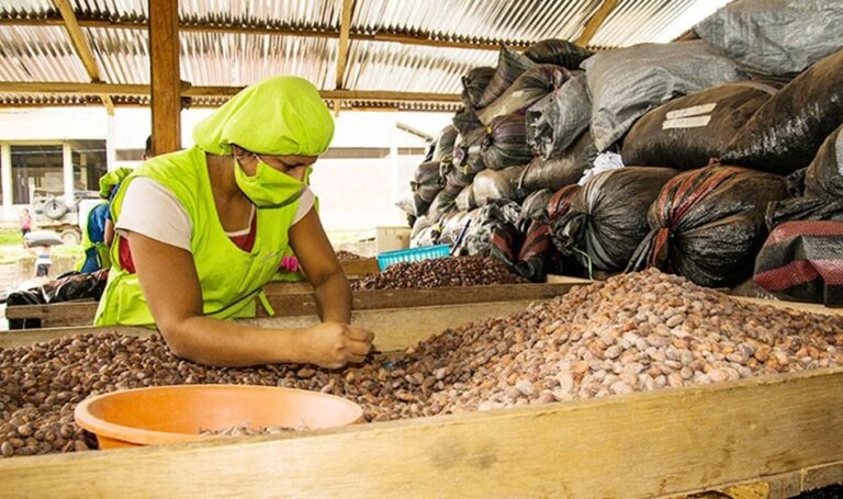 Exportaciones de frutas y hortalizas crecieron 10% y acumulan envíos por US$ 1,112 millones