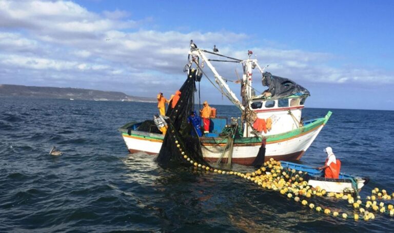 COMENTARIOS AL DECRETO SUPREMO Nº 014-2024-PRODUCE QUE ESTABLECE MEDIDAS PARA PREVENIR, DESALENTAR Y ELIMINAR LA PESCA ILEGAL, NO DECLARADA Y NO REGLAMENTADA