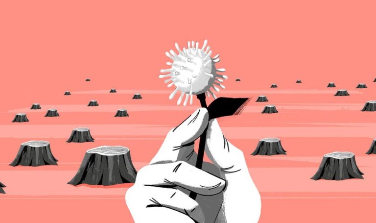 El costo de soslayar el coronavirus y la deforestación