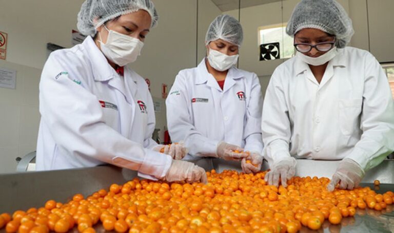 Frutas peruanas: oportunidad dorada en Guatemala, Costa Rica y República Dominicana