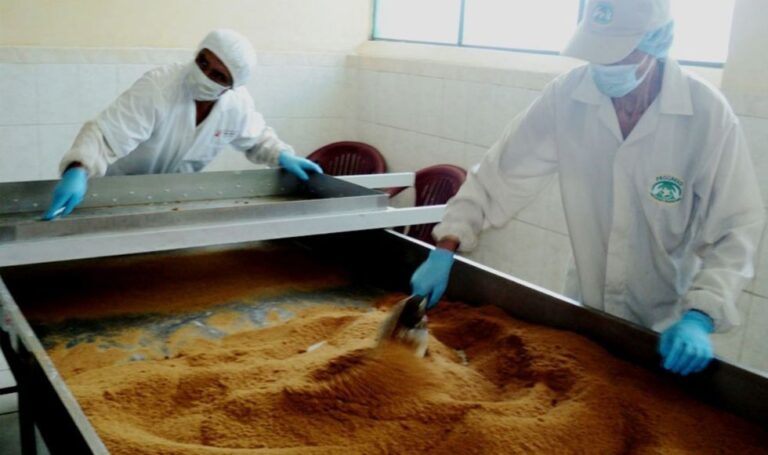 Panela. Sin asociatividad no hay futuro