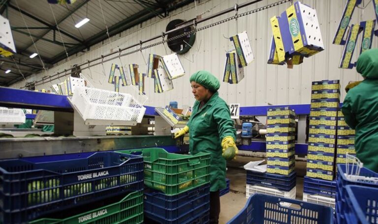 Exportaciones agrícolas peruanas superarían a las chilenas en 2027