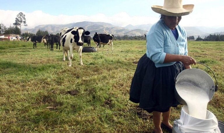 Sector agropecuario tendrá presupuesto récord en 2025