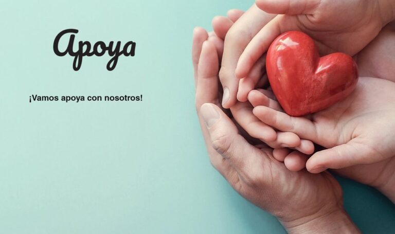 Nace Apoya.org.pe para digitalizar las donaciones