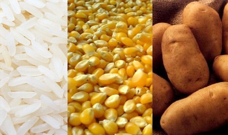 Arroz, papa y maíz son los productos más vulnerables ante la falta de fertilizantes