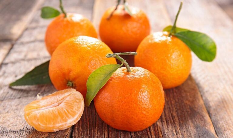 Valor de las exportaciones de mandarina crecieron 13% entre enero y noviembre 2021