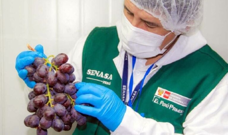 Paro del sindicato de Senasa pone en jaque al sector agroexportador