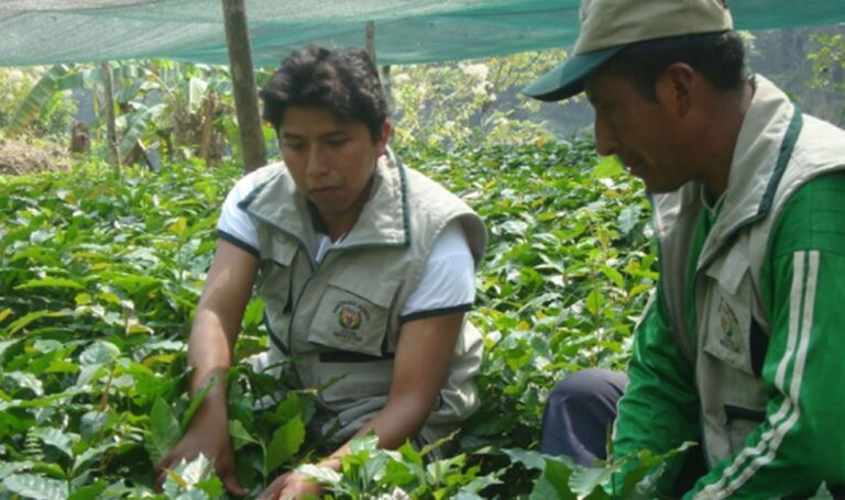 Implicancias económicas y sociales de la ruralidad