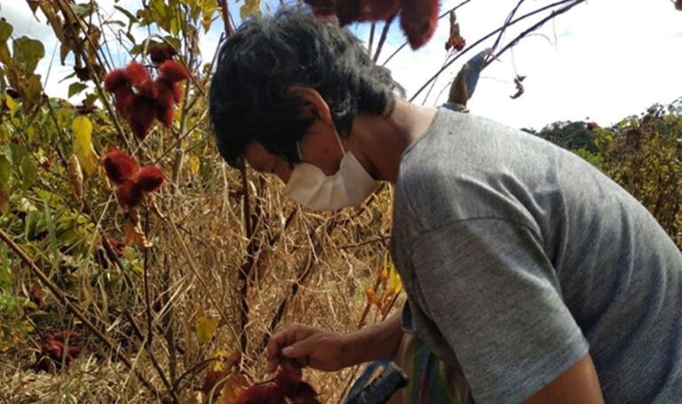Fondo para 83 mil agricultores permitirá créditos a tasas más bajas