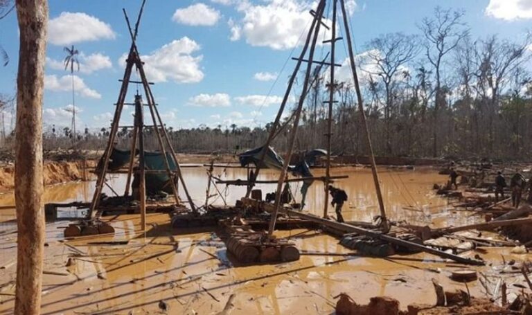 LOBBY Y MINERÍA SALVAJE