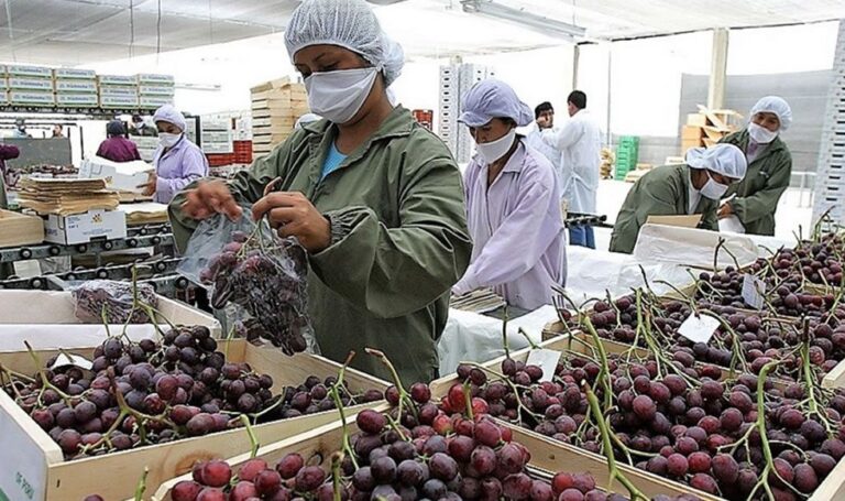 Agroexportaciones costeñas: un crecimiento del 8,8% hasta abril