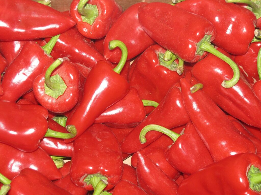 Exportaciones de pimiento piquillo alcanzaron los US$ 30,8 millones