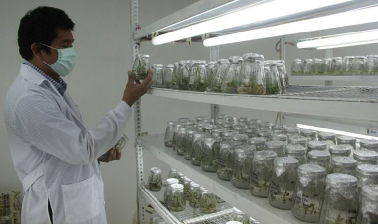 La Libertad potenciará laboratorio de biotecnología de Chavimochic