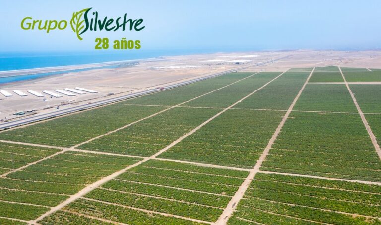 GRUPO SILVESTRE: 28 AÑOS SEMBRANDO UNA AGRICULTURA SOSTENIBLE