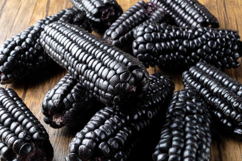 Nueva variedad de maíz morado busca contribuir con el sector agroindustrial