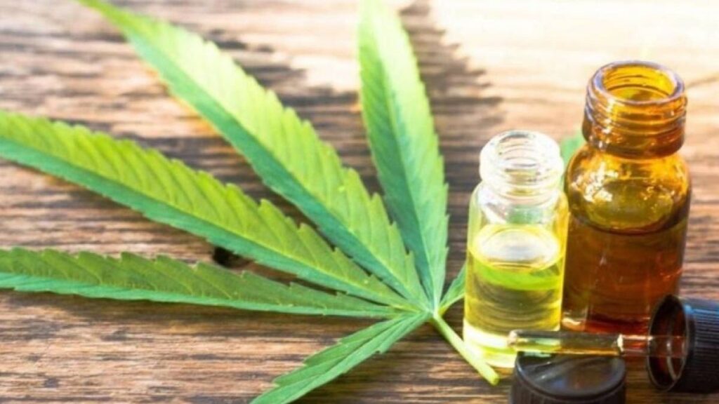 Mercado peruano de cannabis medicinal es de unos US$ 100 millones anuales