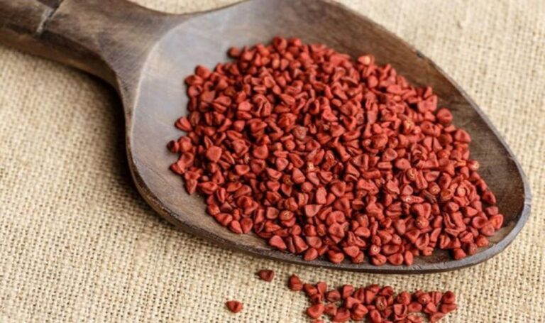 Perú exportó achiote por US$ 14 millones en 2021