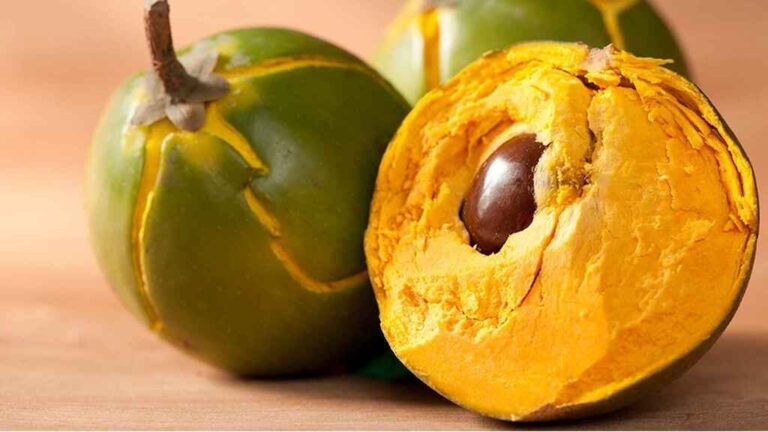 La lúcuma peruana llega a 41 países del mundo