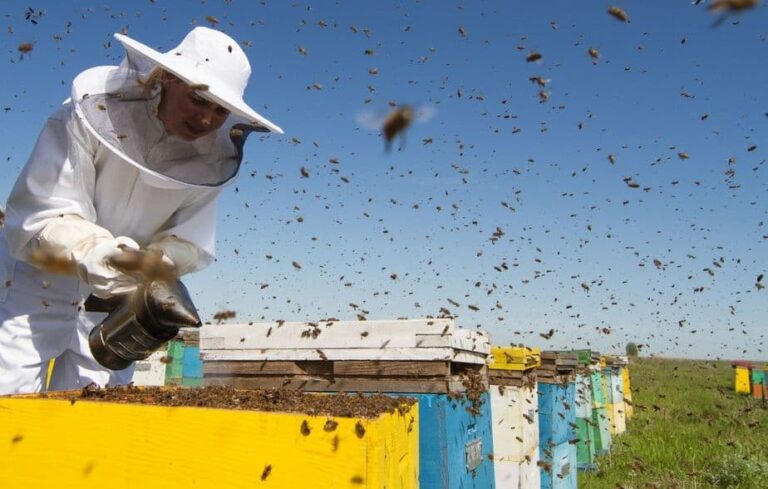 Control de plaguicidas debe ser incluido en la Segunda Reforma Agraria