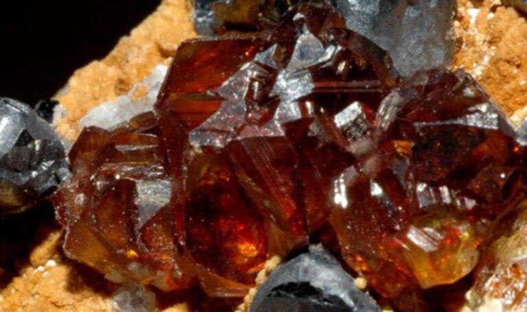 Importación norteamericana de minerales cítricos creció 7,9% en el segundo trimestre