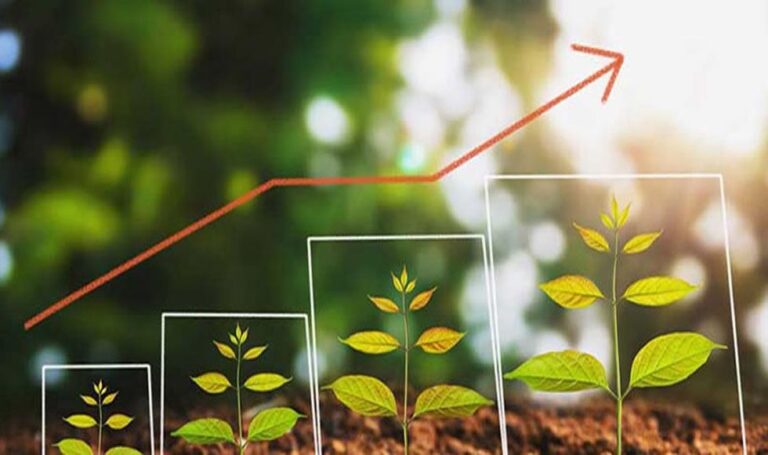 Rentabilidad Agrícola con Rostro Verde