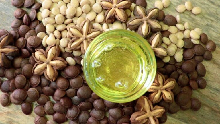 Países del Asia son los principales destinos del aceite de sacha inchi