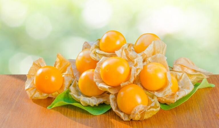 Chalarinas y pistilos de aguaymanto