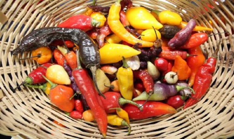 Exportaciones de ajíes nativos peruanos crece 24% al primer semestre 2021