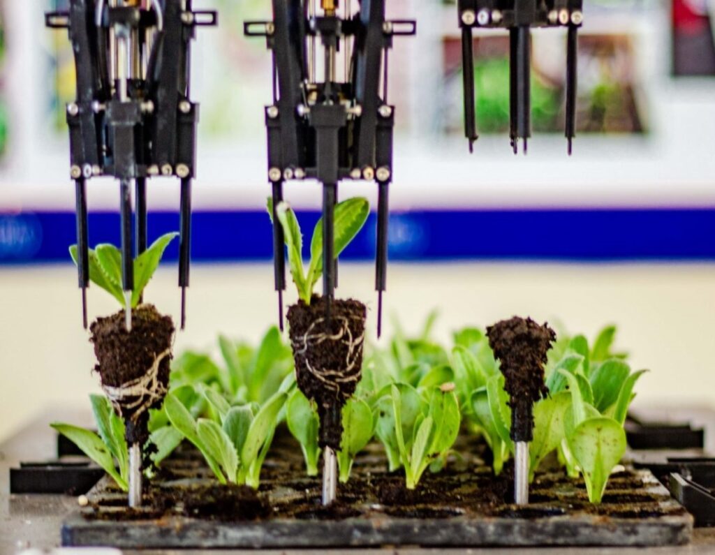 Crean sistema robótico que mejora control de calidad en sector agroindustrial
