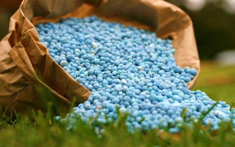 Crisis de fertilizantes aumentaría importaciones de alimentos