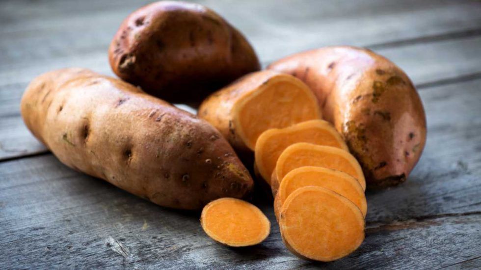 Exportaciones de camote crecieron 43% en volumen y 84% en valor a septiembre