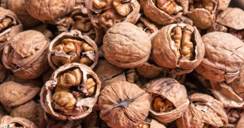 Perú exportó nueces de Brasil por US$ 40 millones entre enero y octubre
