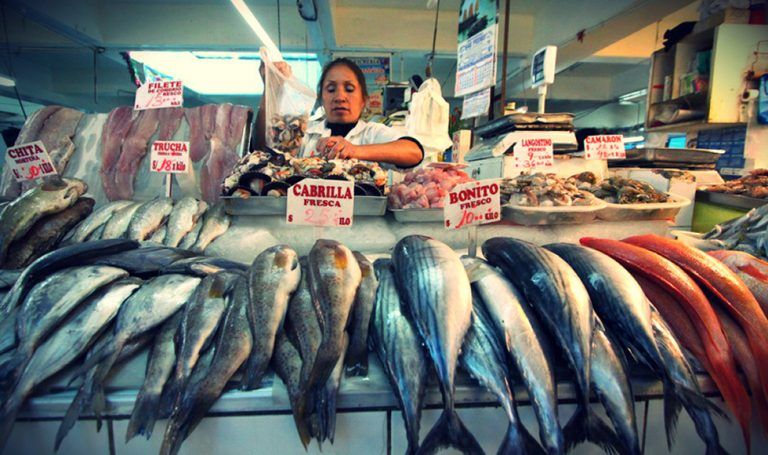 El consumo per cápita de pescado en el Perú